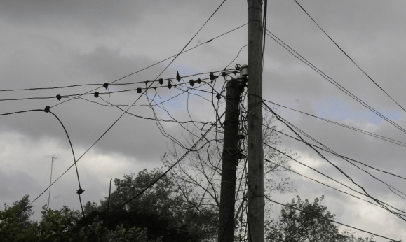 Denuncian el hurto de energía eléctrica en varias viviendas de Ciudad del Plata