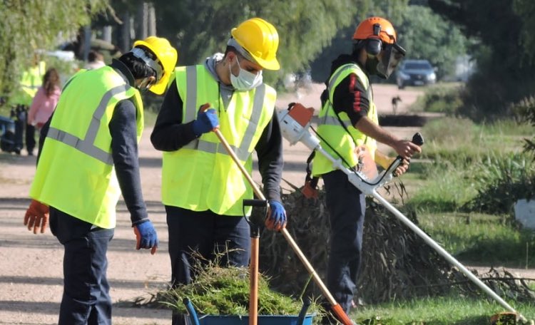 Municipio de CDP tratará este jueves moción sobre dar canastas a los Jornales Solidarios