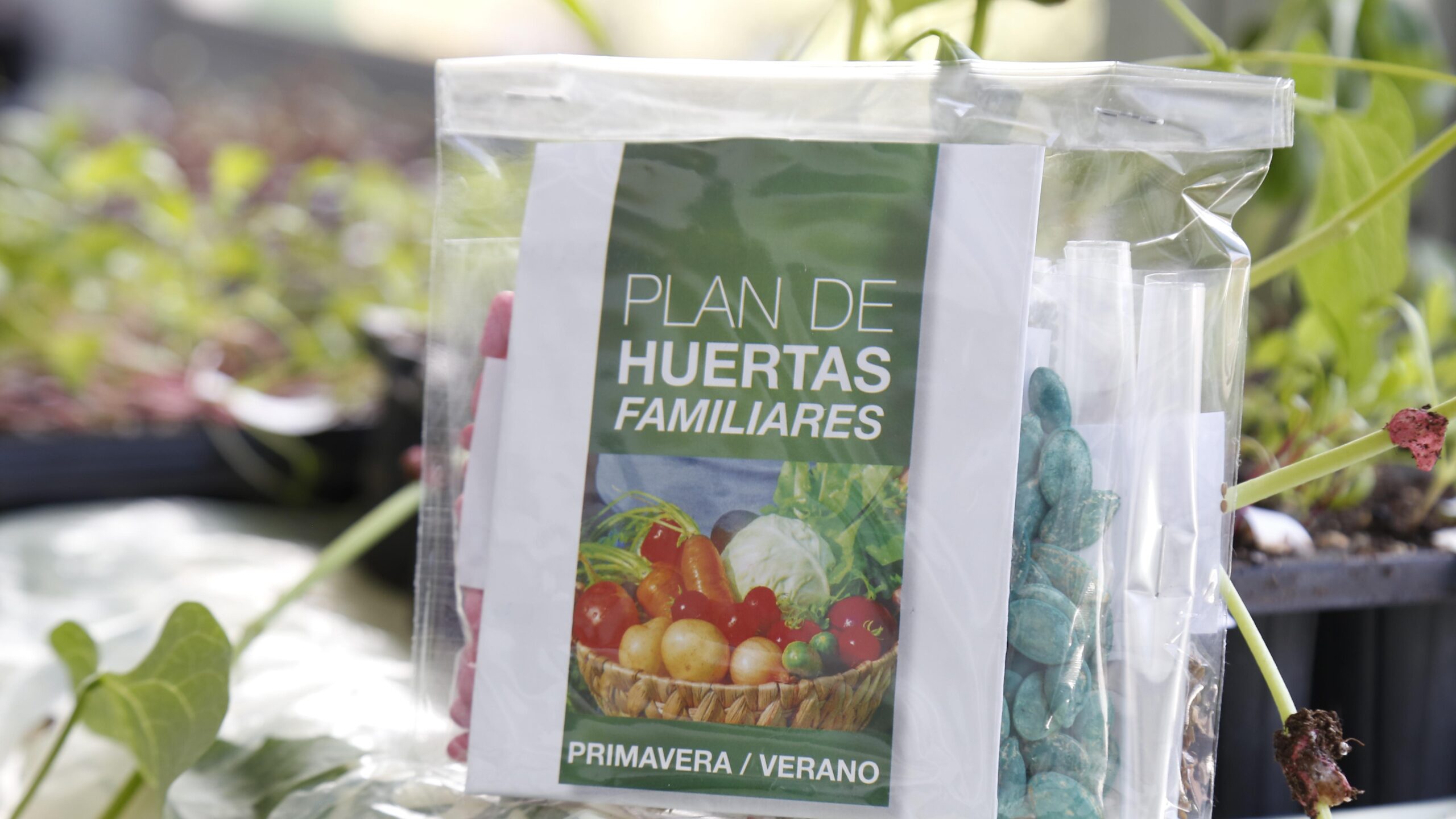 Comienza la entrega de semillas para huertas en los barrios de Ciudad del Plata