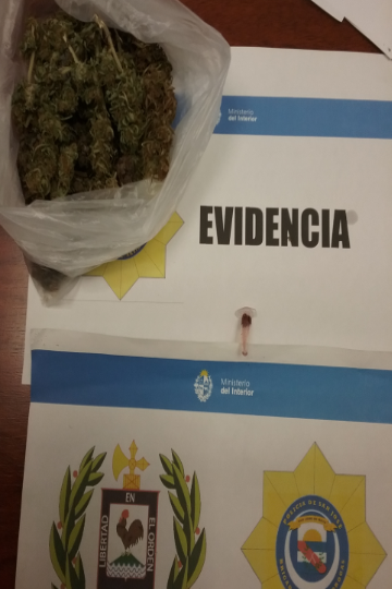 Irá a la cárcel por transportar un kilo y medio de Marihuana en Ciudad del Plata