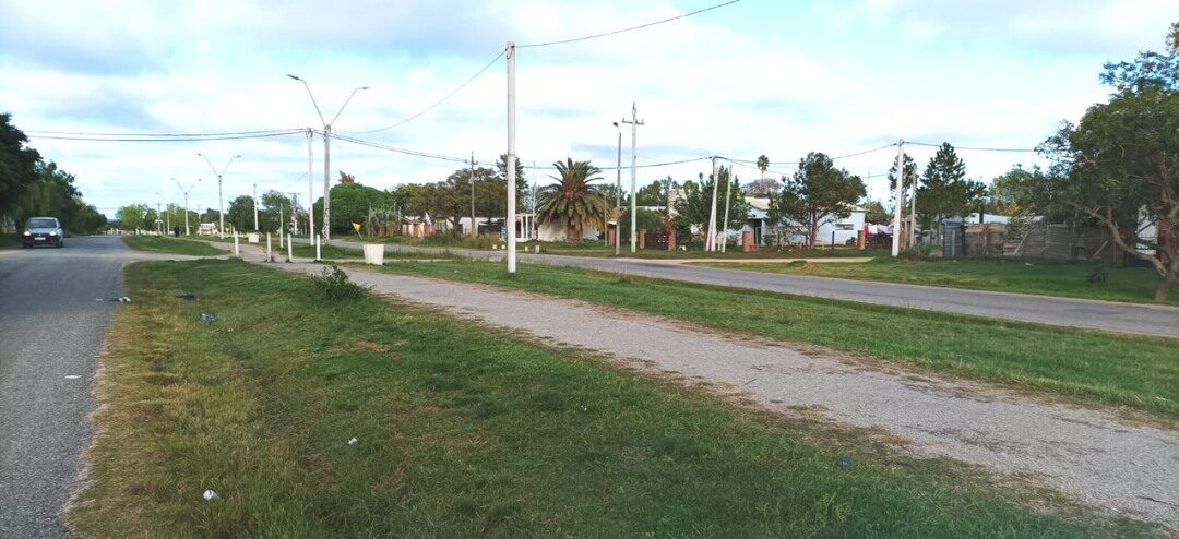 Municipio de Ciudad del Plata proyecta plantar árboles nativos en Av. Penino y Parque Costero