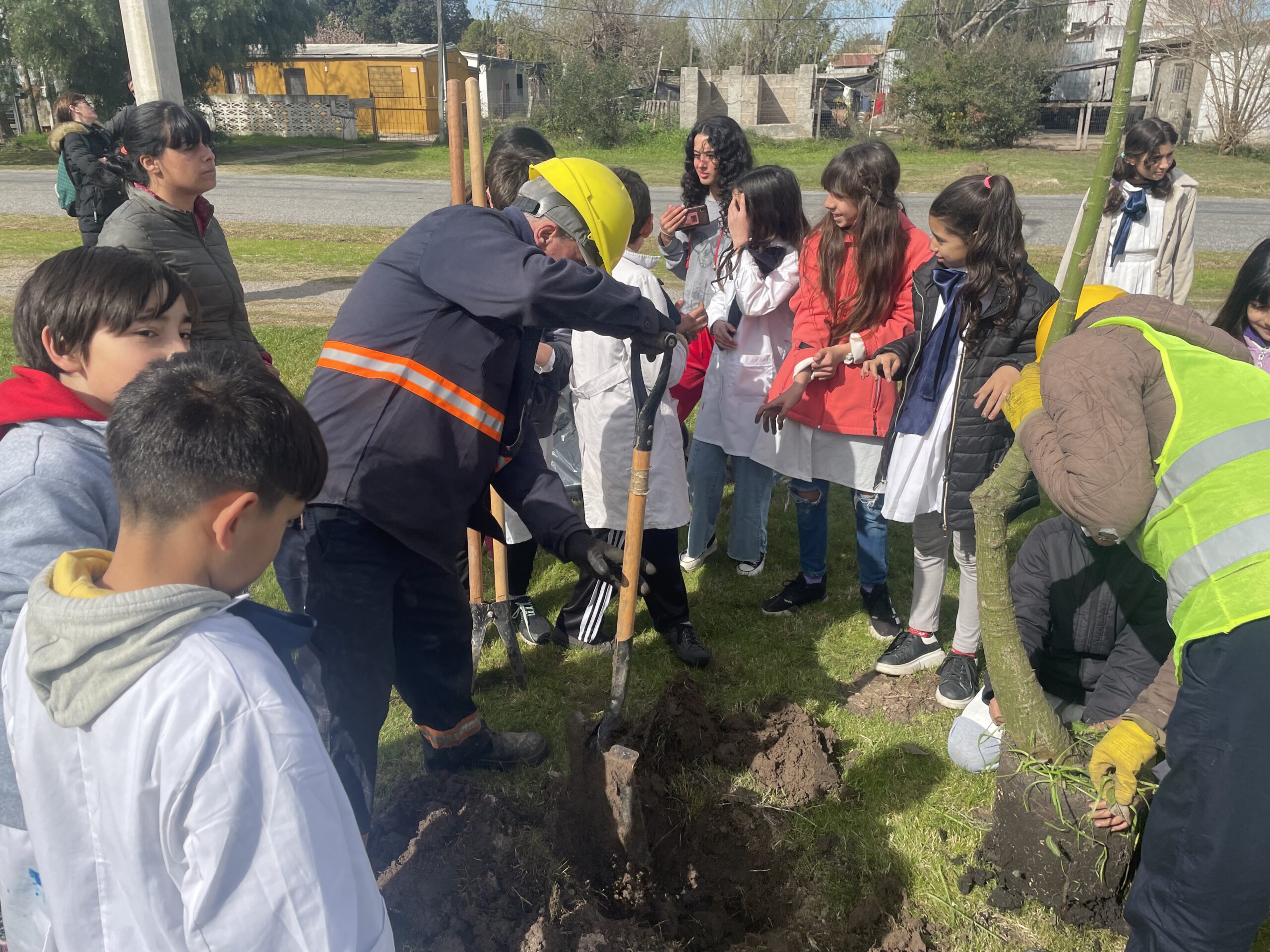 Municipio de Ciudad del Plata realizó plantación de árboles nativos en la Av. Tomás Penino