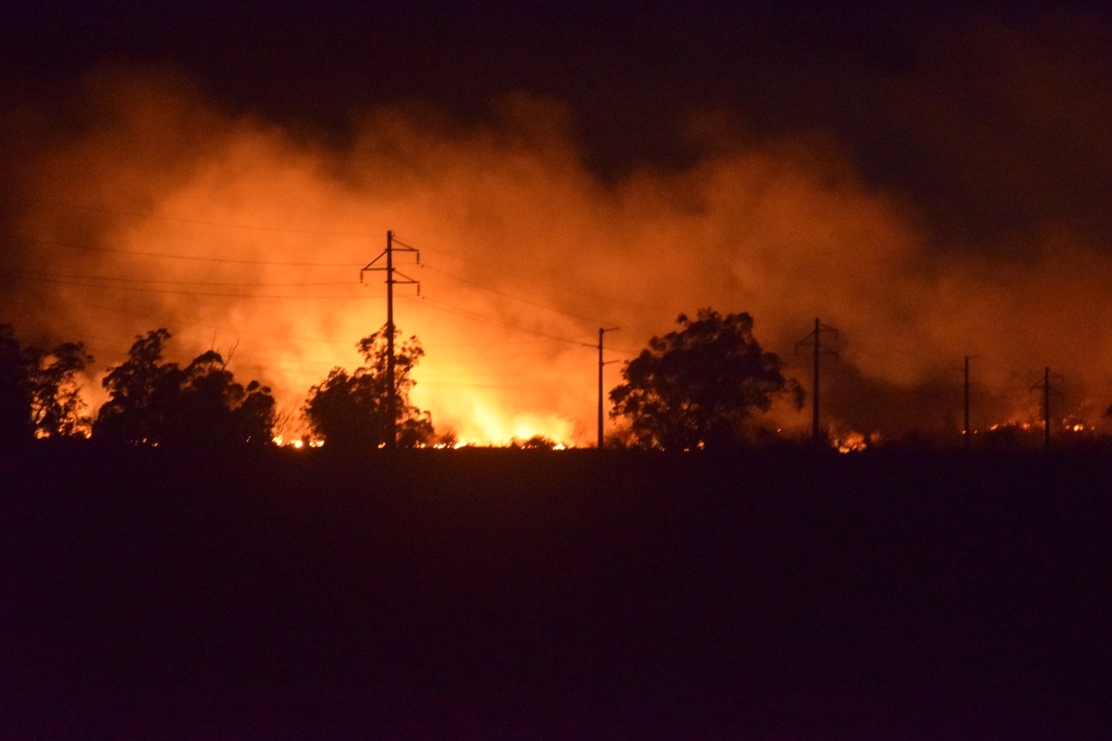 Bomberos logró controlar el incendio en la zona de Colonia Wilson, consumió más de 150 hectáreas