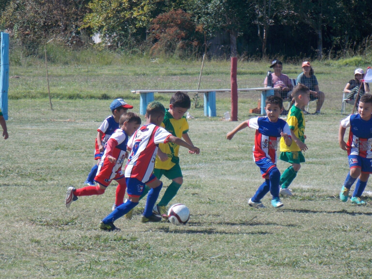 Trabajan en proyecto de «Liga Juvenil» para dar continuidad al baby fútbol de Ciudad del Plata