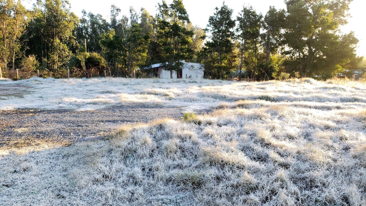 Se acabó el calor y empieza el frío con todo: mínimas de 0º desde el lunes