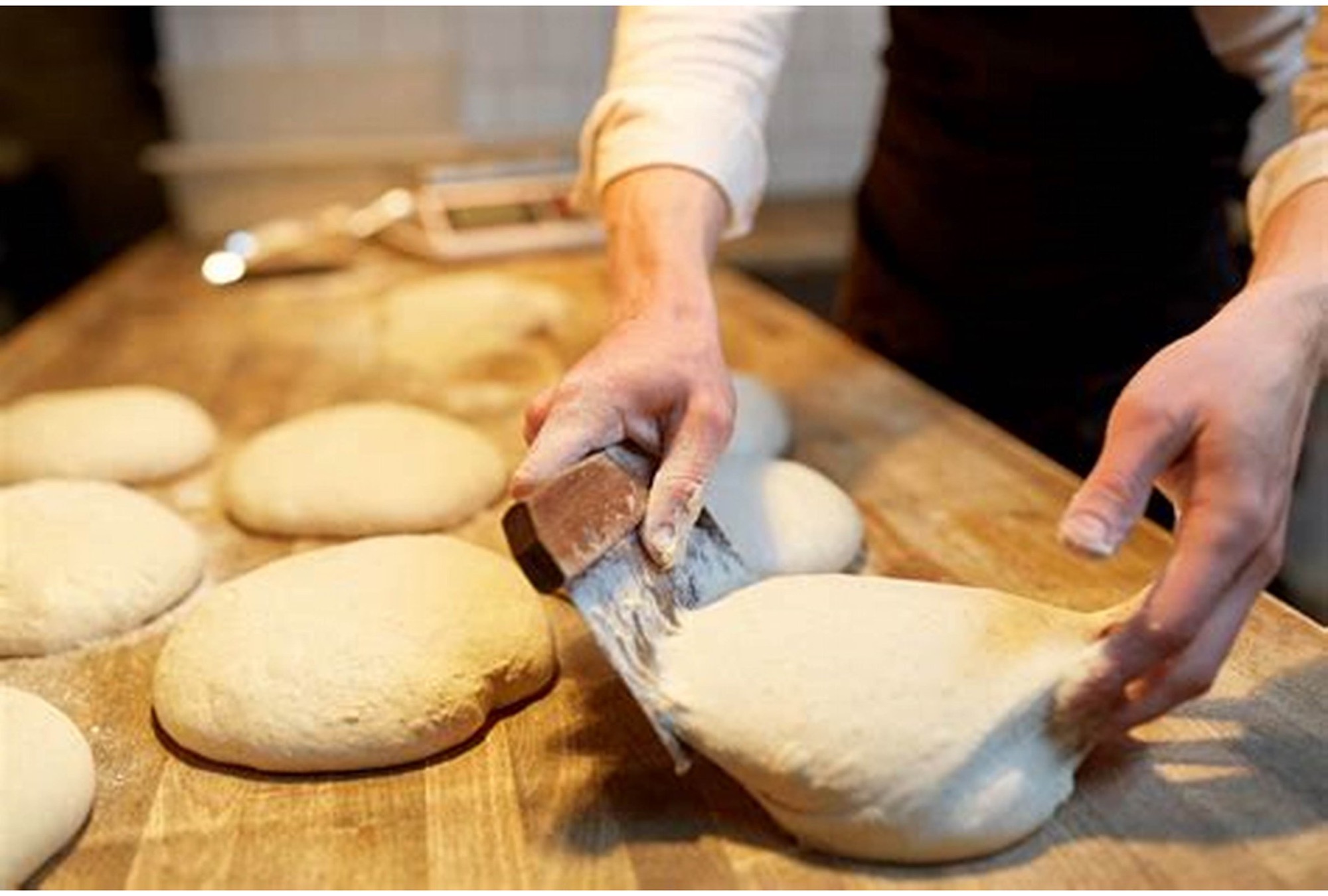 INEFOP brindará cursos gratuitos de panadería en Ciudad del Plata : mirá como inscribirte